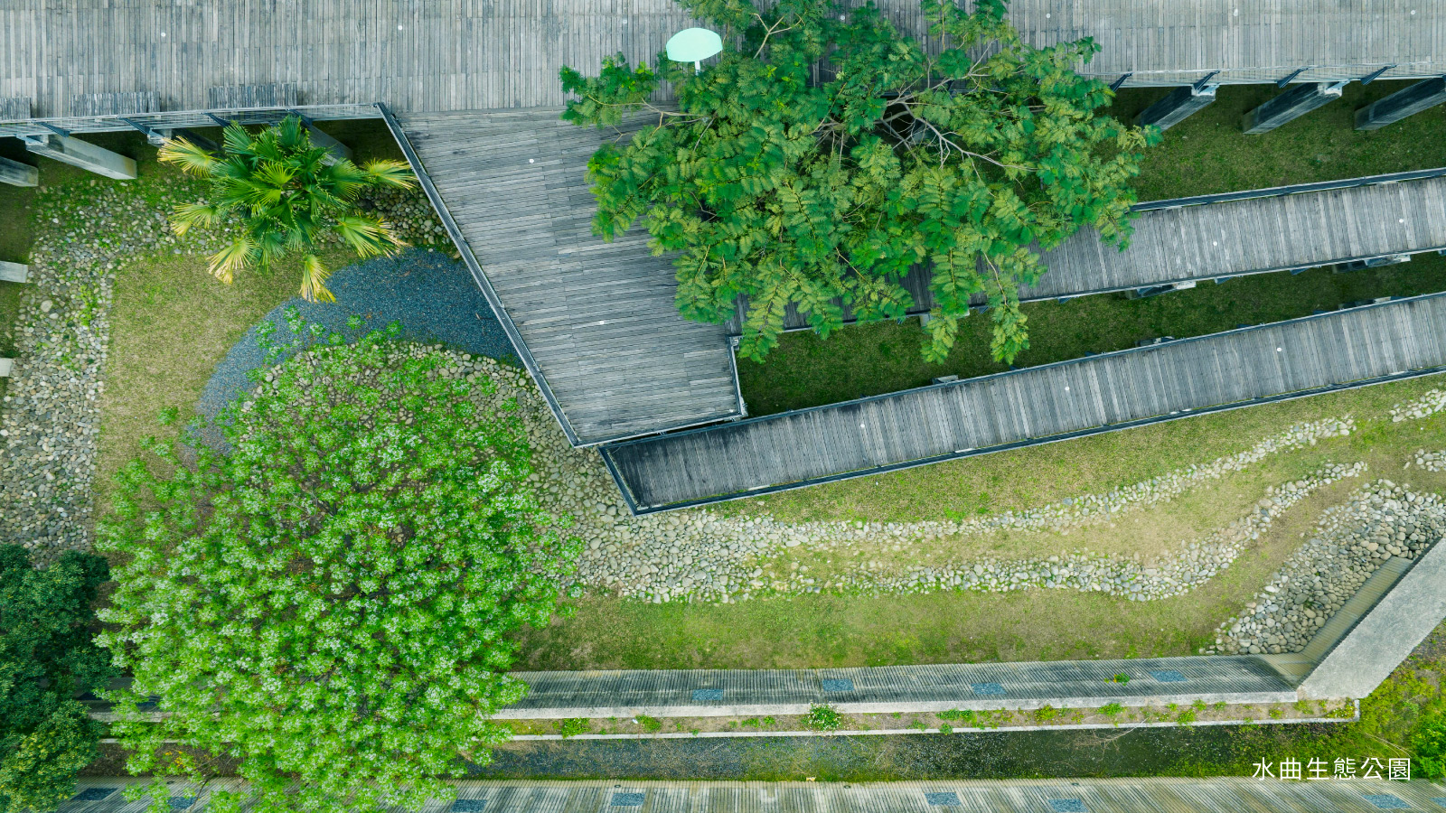 水曲生態公園