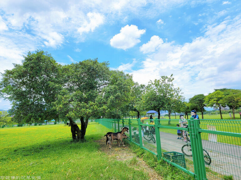浮洲運動公園內有羊舍